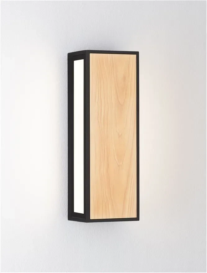 Aplică exterior ASTRAL LED 10 W, 220-240 V, 192 lm, 3000K, IP65, aluminiu și sticlă 3