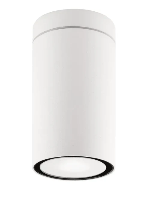 Plafonieră exterior CERISE GU10, compatibil 1x35 W, 220-240 V, IP54, aluminiu și sticlă