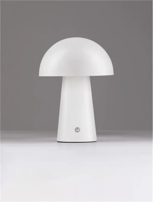 Veioză ANDE LED 2 W, 220-240 V, 129 lm, 3000K, IP20, oțel