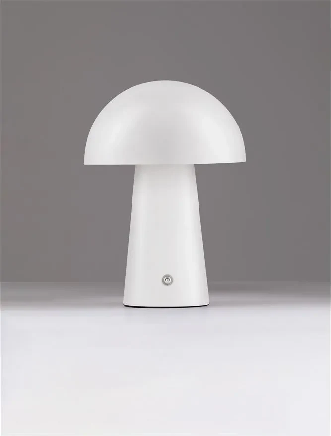 Veioză ANDE LED 2 W, 220-240 V, 129 lm, 3000K, IP20, oțel 3