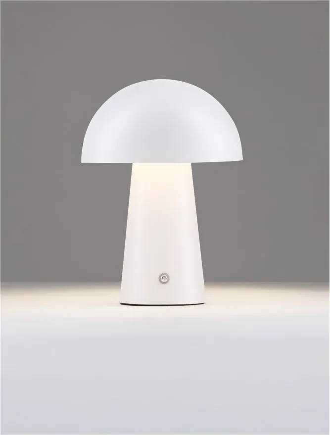 Veioză ANDE LED 2 W, 220-240 V, 129 lm, 3000K, IP20, oțel 4