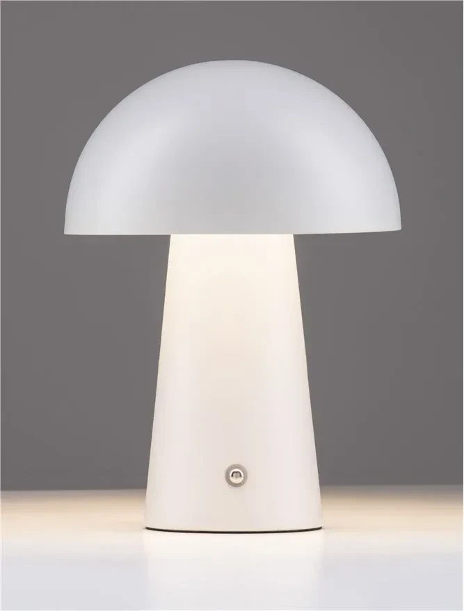 Veioză ANDE LED 2 W, 220-240 V, 129 lm, 3000K, IP20, oțel 5