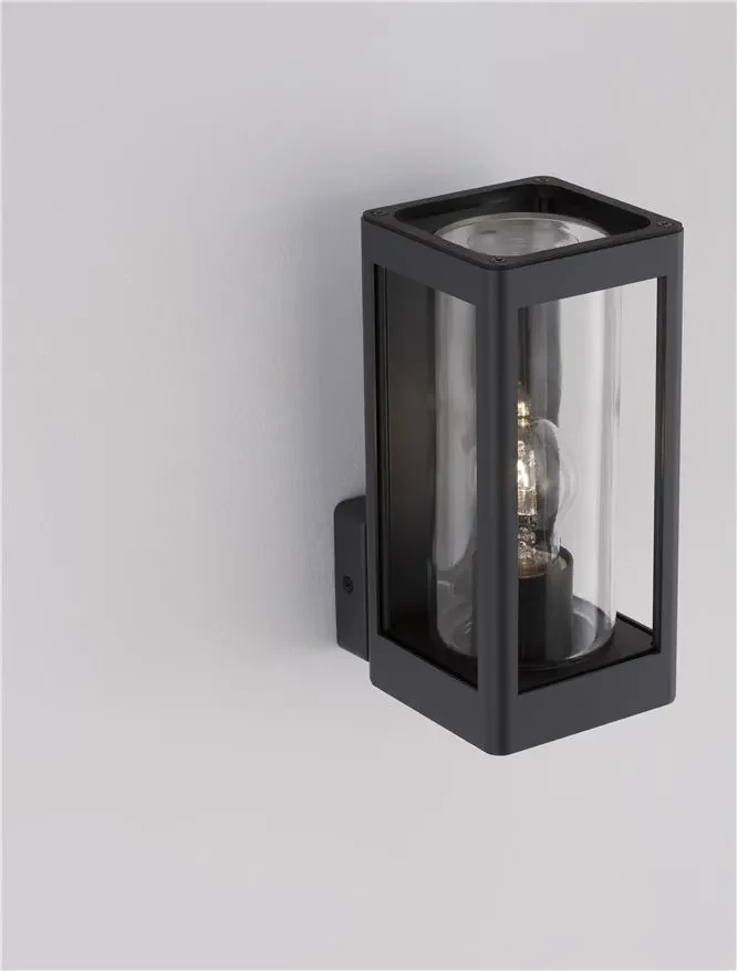 Aplică exterior FIGO E27, 1x12 W, 110-240 V, IP54, aluminiu și sticlă 7