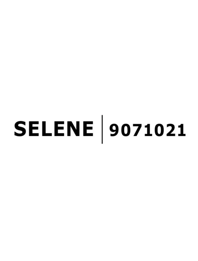 Spot SELENE IP54, aluminiu 3