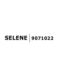 Spot SELENE IP54, aluminiu 4