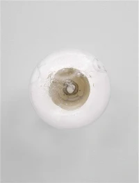 Aplică KING G9, 1x5 W, 100-240 V, IP20, metal, sticlă și alamă D260 5