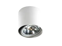 Spot aparent ALIX, alb, finisaj mat, 12V, AR111+ G5.3, 1x20W / 50W, Dimm, IP20