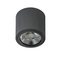 Spot aparent ALIX, negru, finisaj mat, 230V, ES111 + GU10, 1x50W, IP20
