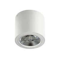 Spot aparent ALIX, alb, finisaj mat, 230V, ES111 + GU10, 1x50W, IP20