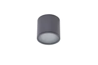 Spot aparent ALIX, gri, finisaj mat, 230V, ES111 + GU10, 1x50W, IP65