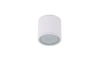 Spot aparent ALIX, alb, finisaj mat, 230V, ES111 + GU10, 1x50W, IP65