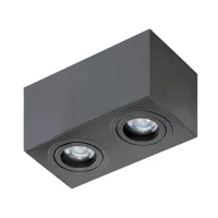 Spot aparent BRANT, negru, finisaj mat, 230V, GU10, 2x40W, IP20