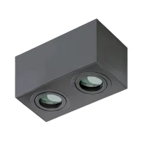 Spot aparent BRANT, negru, finisaj mat, 230V, GU10, 2x40W, IP44