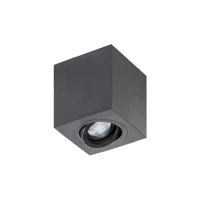 Spot aparent BRANT, negru, finisaj mat, 230V, GU10, 1x40W, IP20
