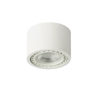 Spot aparent ECO, alb, finisaj mat, 230V, ES111 + GU10, 1x50W, IP20