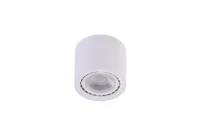 Spot aparent ECO, alb, finisaj mat, 230V, ES111 + GU10, 1x50W, IP20