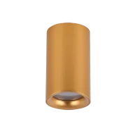 Spot aparent EIGER, auriu, finisaj strălucitor, 230V, GU10, 1x40W, IP54