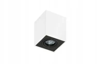 Spot aparent ELOY, alb, finisaj mat, 230V, GU10, 1x40W, IP20