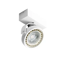 Spot aparent JERRY, alb, finisaj mat, 230V, ES111 + GU10, 1x50W, IP20