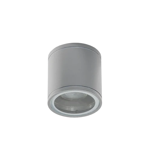 Spot aparent JOE, gri deschis, finisaj mat, 230V, GU10, 1x40W, IP54