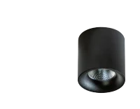 Spot aparent MANE, negru, finisaj mat, 230V, LED, 1x19W, 1664lm, 3000K, CRI ≥90, IP20