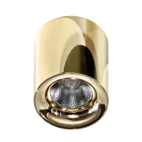 Spot aparent MANE, auriu, finisaj strălucitor, 230V, LED, 1x11W, 991lm, 3000K, CRI ≥80, IP20