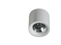 Spot aparent MANE, alb, finisaj mat, 230V, LED, 1x29W, 2650lm, 3000K, CRI ≥90, Dimm, IP20