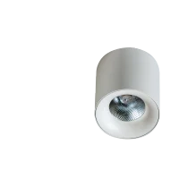 Spot aparent MANE, alb, finisaj mat, 230V, LED, 1x29W, 2484lm, 3000K, CRI ≥90, IP20