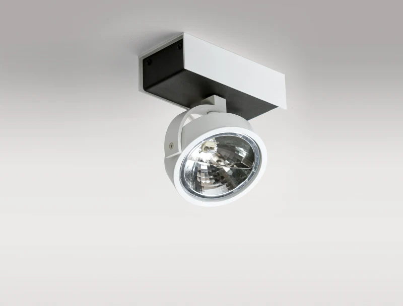 Spot aparent MAX, alb, finisaj mat, 12V, AR111+ G5.3, 1x50W, IP20 2