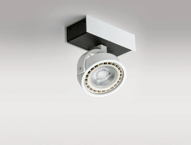 Spot aparent MAX, alb, finisaj mat, 230V, ES111 + GU10, 1x50W, IP20 2