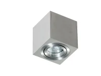 Spot aparent MINI, aluminiu, finisaj periat, 230V, GU10, 1x40W, IP20