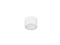 Spot aparent MONZA R 3000K, alb, finisaj mat, 230V, LED, 1x5W, 219lm, 3000K, CRI ≥90, IP20