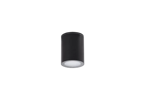 Spot aparent PAPIKO, negru, finisaj mat, 230V, GU10, 1x40W, IP65