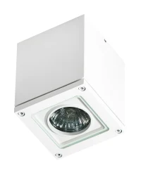 Spot aparent TONIO, alb, finisaj mat, 230V, GU10, 1x40W, IP54