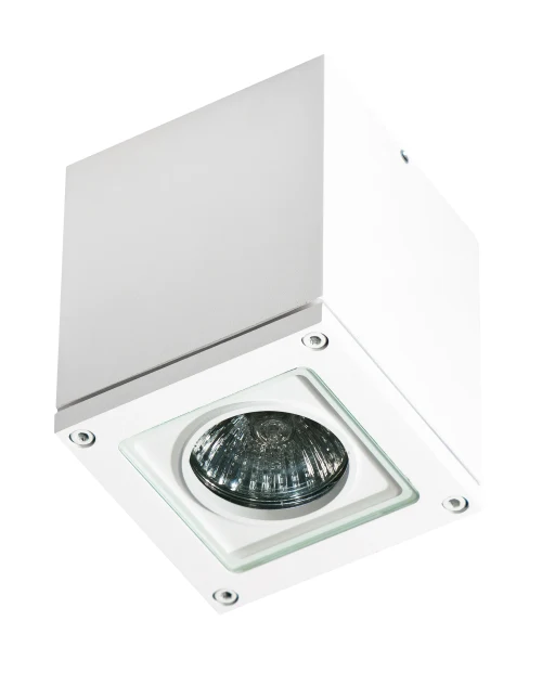 Spot aparent TONIO, alb, finisaj mat, 230V, GU10, 1x40W, IP54